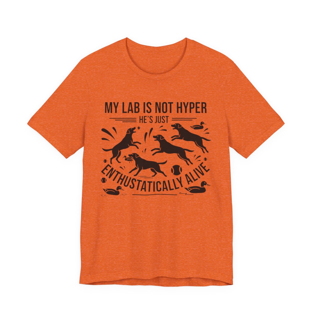 Labrador T-Shirt - My Lab Is Not Hyper Just Enthusiastically Alive - Multi Tee - Image 2