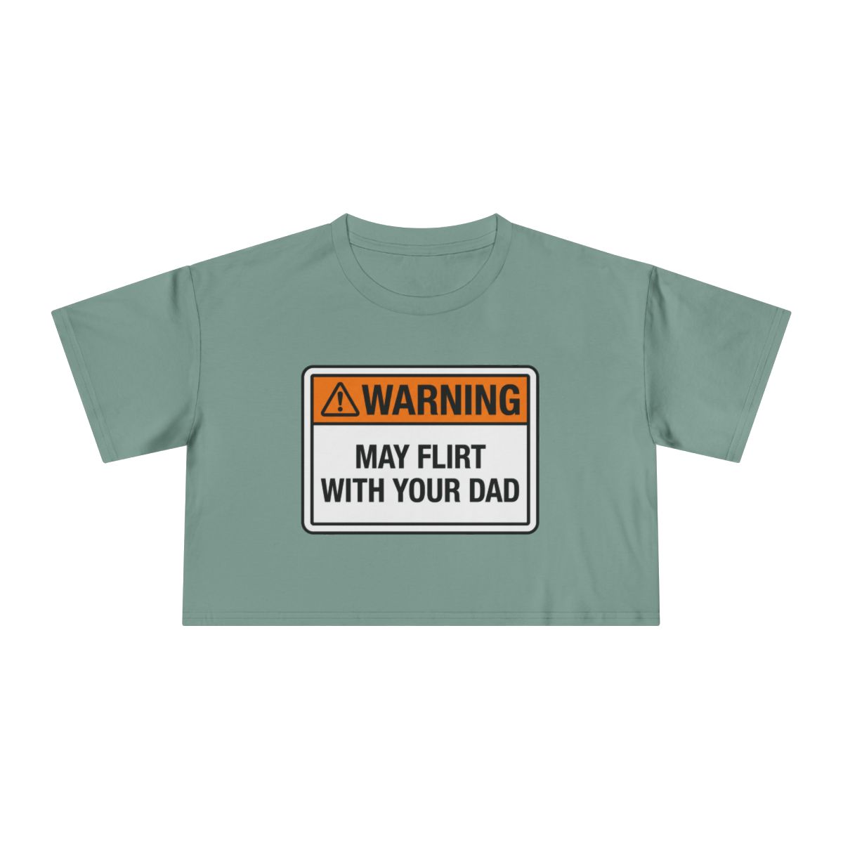 Warning May Flirt With Your Dad Crop Tee | Humor Graphic Tee - Image 13