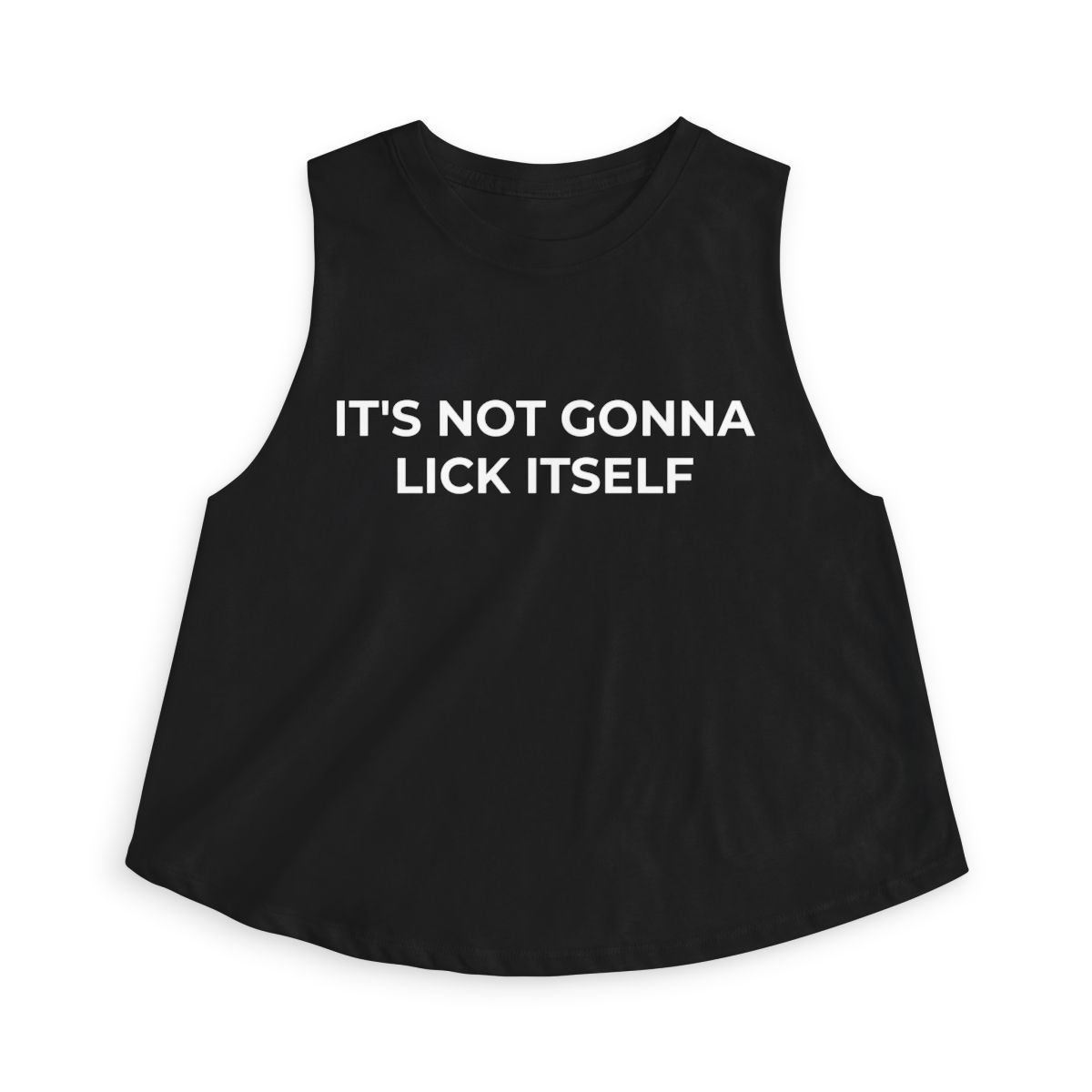 It's Not Gonna Lick Itself Funny Crop Top - Image 7