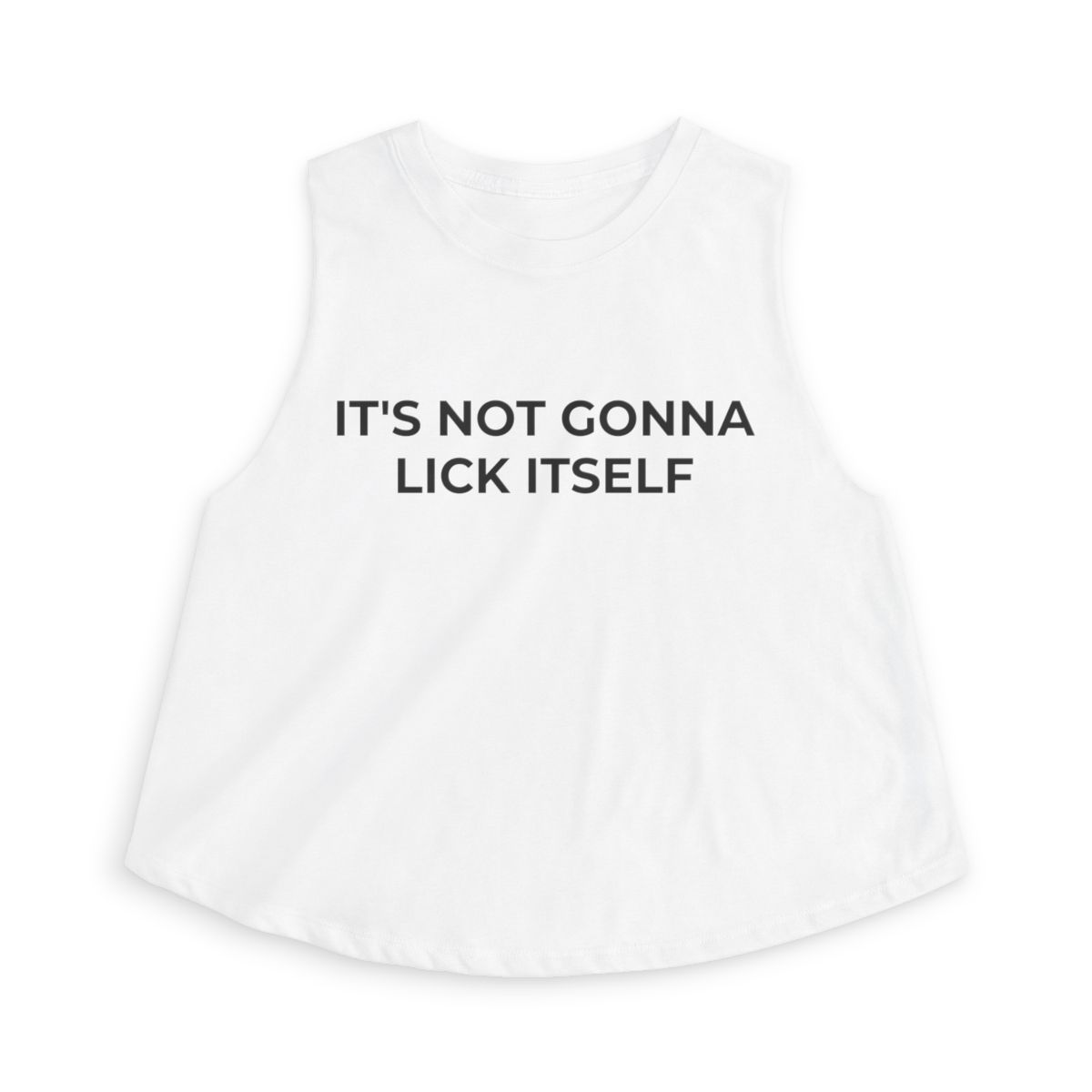 It's Not Gonna Lick Itself Funny Crop Top - Image 8