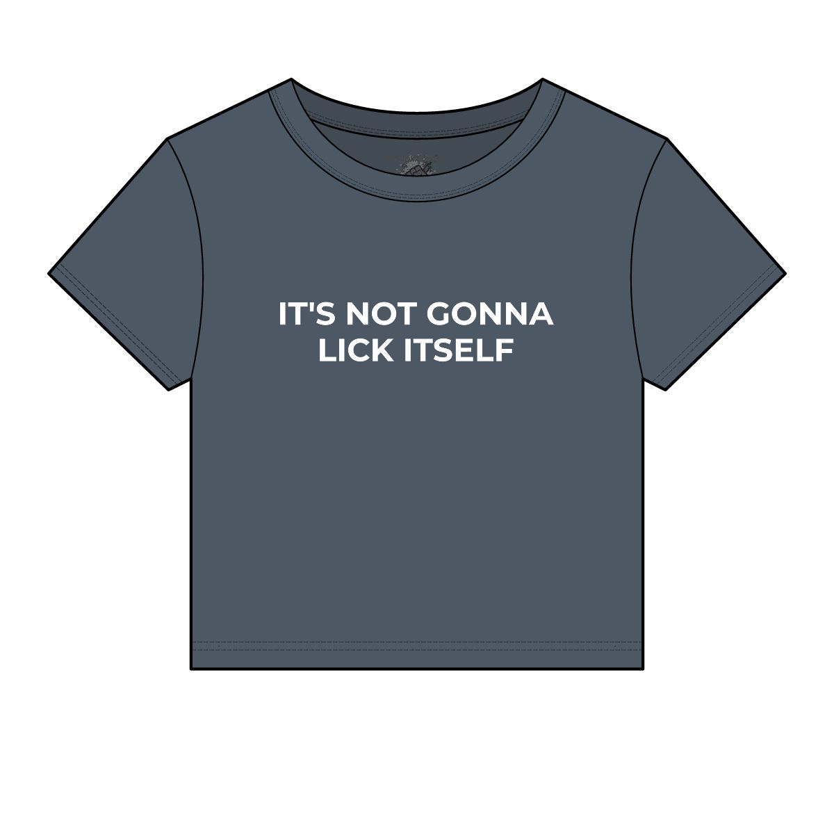 It's Not Gonna Lick Itself Funny Baby Tee - Image 12